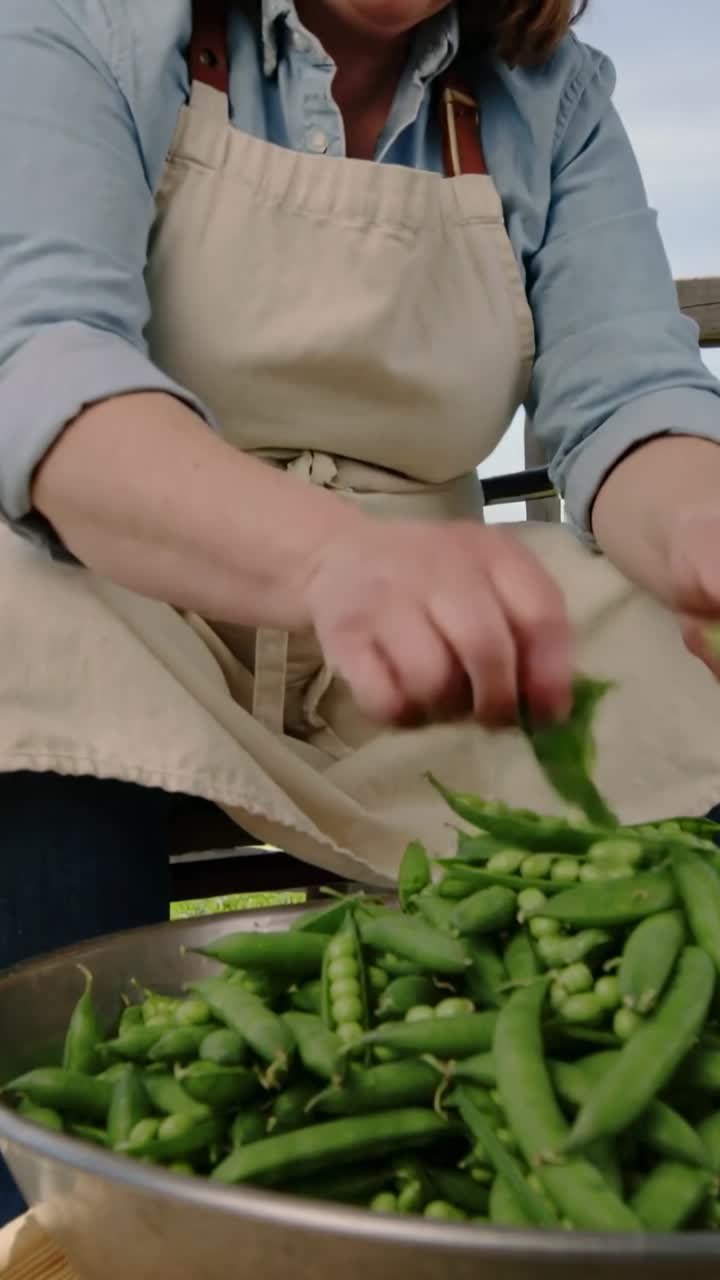 Vertical video: Picking up first pod, woman shelling peas on porch, metal bowl apron for cooking