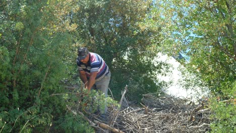 Mann-Schneidet-Holz-Mit-Säge