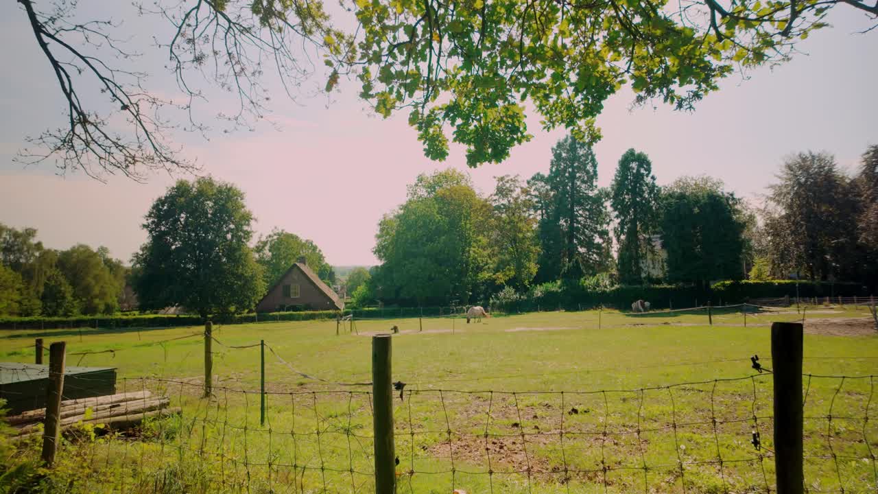 Peaceful scene of a traditional Drenthe farmhouse set behind a wire fence, surrounded by green meadows and trees, capturing the essence of Dutch rural life