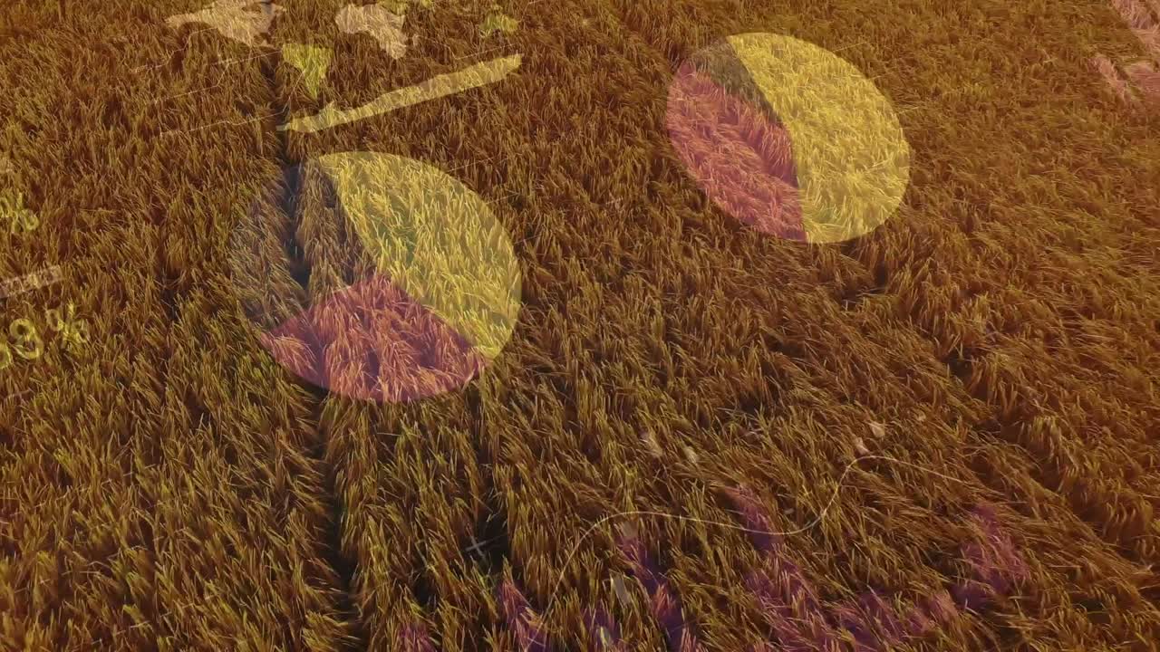 농업 분야의 통계 및 금융 데이터 처리의 활성화