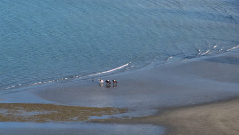 un grupo de jinetes cabalgando a través de las olas poco profundas en una playa de arena cerca de nelson, nueva zelanda