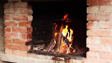 wood fire burning in a brick fireplace - medium shot