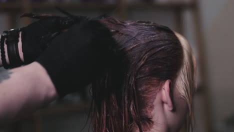 teñir el cabello de una clienta en un salón de peluquería por un peluquero profesional