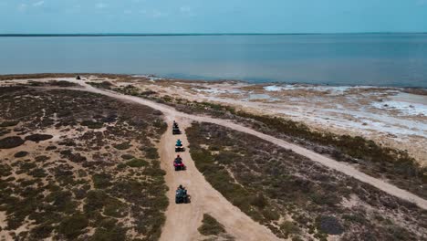 aerial view of quad bikers riding on a desert coastline
