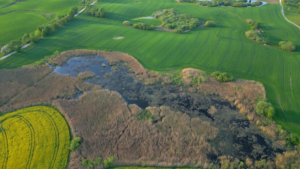 paisaje de diferentes texturas, terrenos, crecimiento de colza, aguas pantanosas