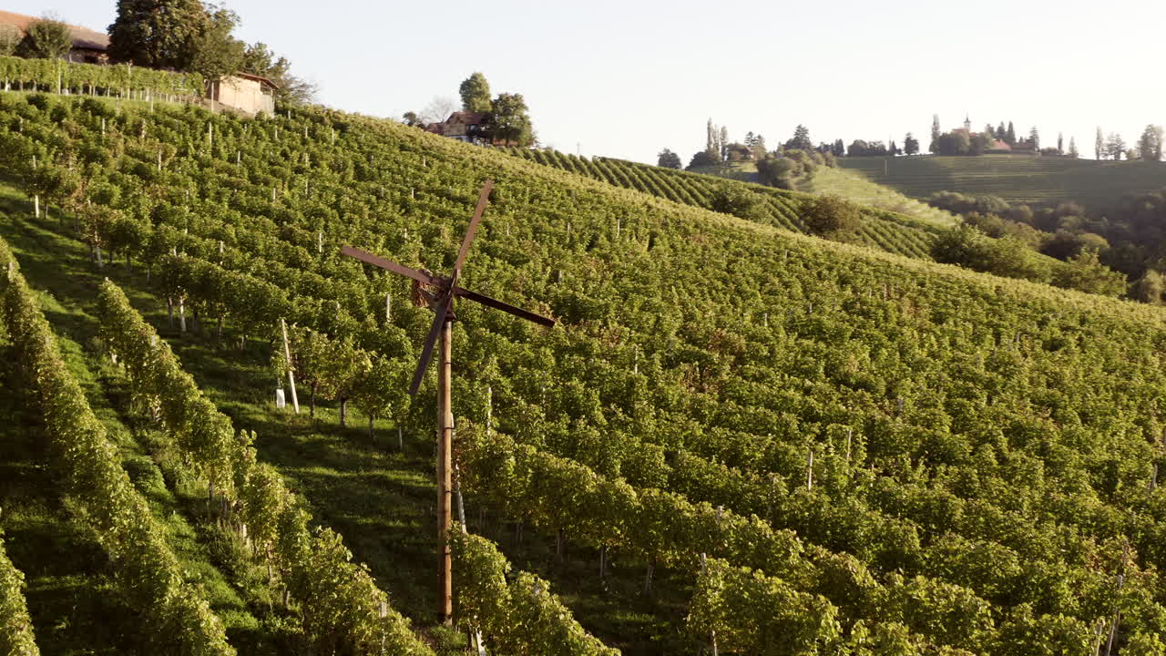 Vineyard landscape with cross and wind turbine