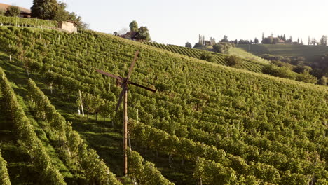 vineyard landscape with cross and wind turbine