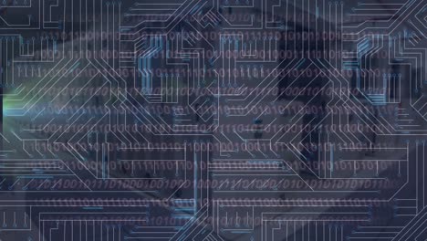 animación del procesamiento de datos sobre una placa de circuitos informáticos brillante