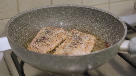 cooking salmon fish meat on hot olive oil in frying pan, close up slow motion