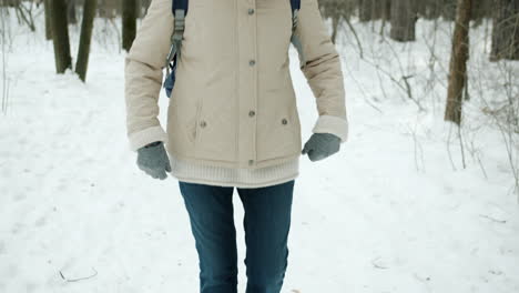 senior woman hiking in a snowy forest