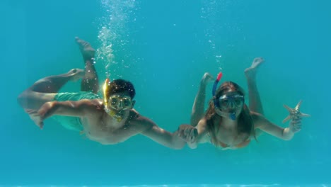 couple wearing snorkels holding starfish underwater