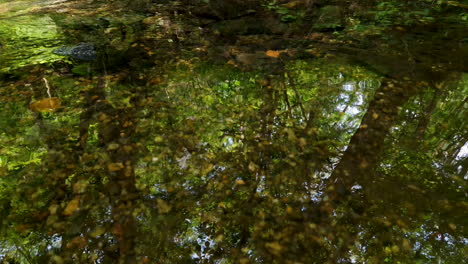 Wasser-Plätschert-Im-Bach,-Mit-Spiegelung-Der-Sommerblätter