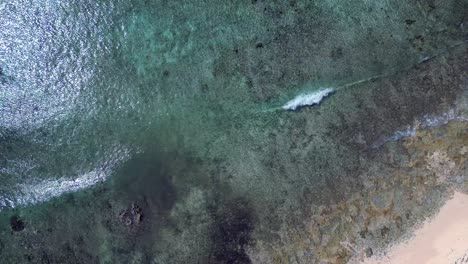 Imágenes-De-Drones-Girando-Lentamente-Y-Descendiendo-Hacia-Las-Olas-Rompiendo-Sobre-Un-Arrecife-De-Coral-Y-Una-Playa-En-Un-Hermoso-Océano-Tropical-En-Las-Islas-Caimán-En-El-Caribe