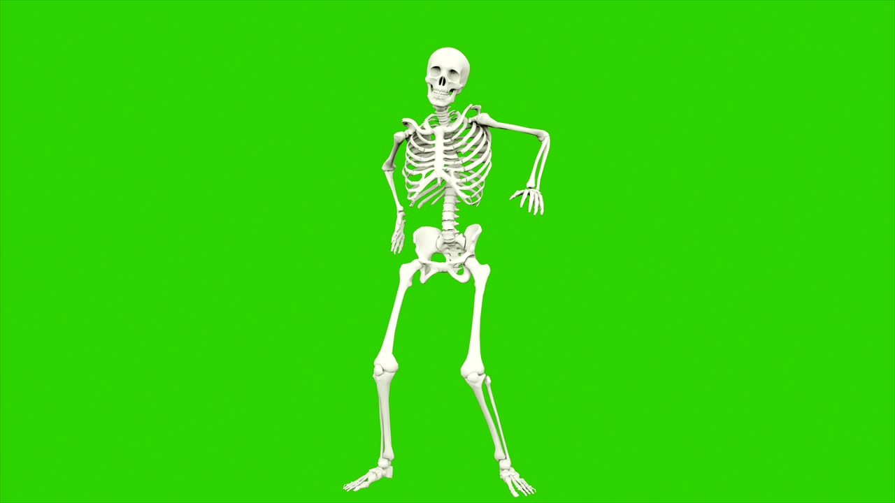 danza dello scheletro. animazione a loop senza soluzione di continuità sullo schermo verde.
