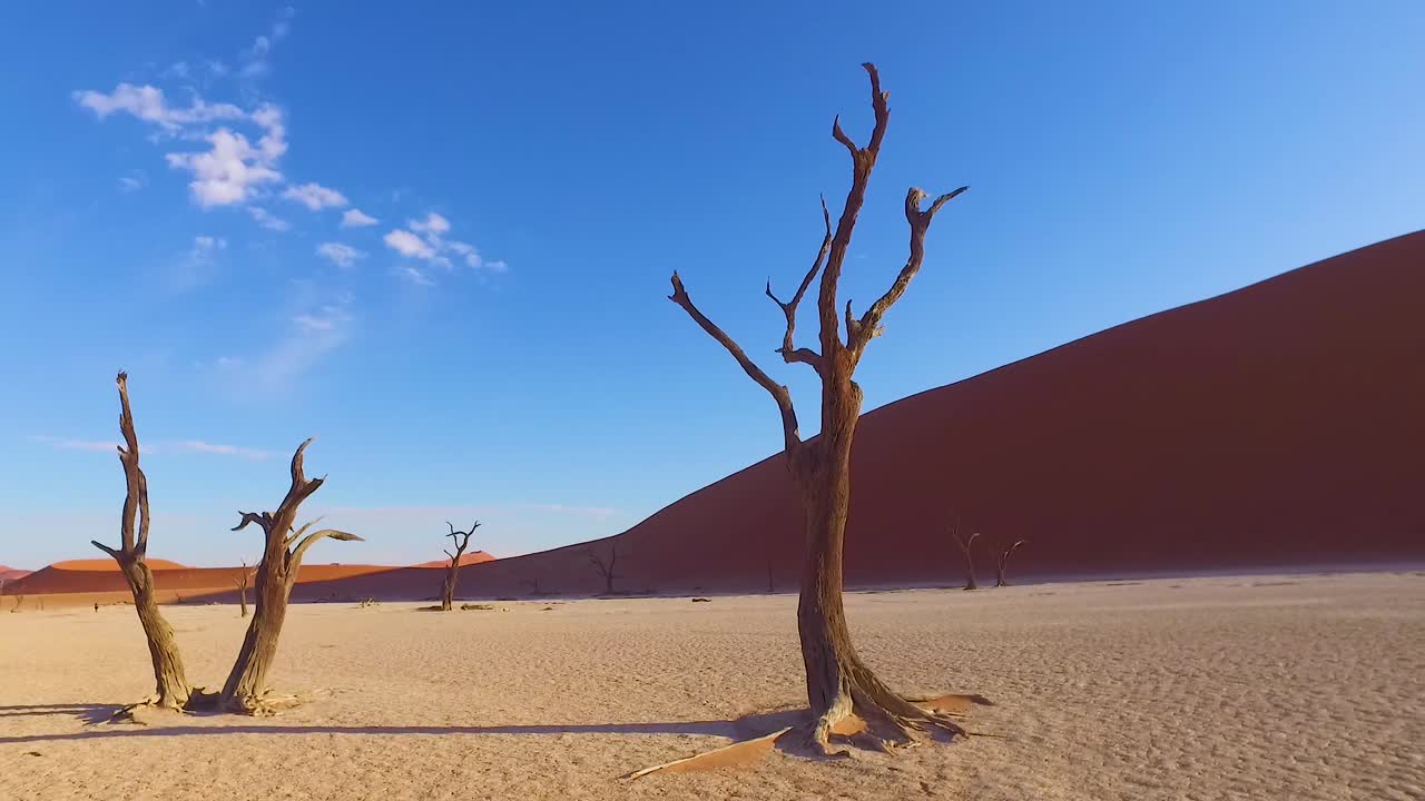 Moving shot through the Sossusvlei dead trees and sand dunes in Namibia Africa 3
