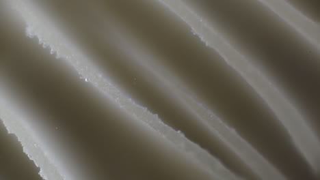 close up shot of the gills of a mushroom showing spores being released