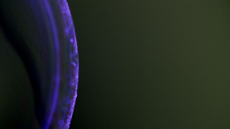 pequeñas partículas de polvo borrosas que se mueven en la superficie de una esfera ultravioleta