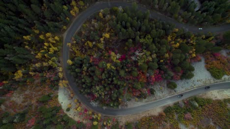 los coches conducen por una sinuosa carretera de montaña entre árboles de colores otoñales