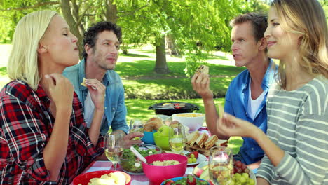 amigos haciendo picnic en el parque.