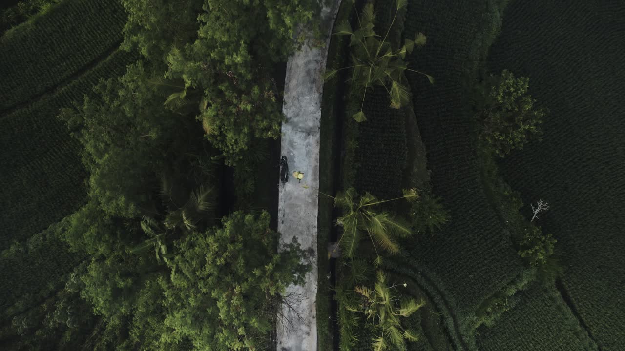 Vista aerea dall'alto di una strada stretta con scooter che guida in un paesaggio di giungla, isola di Bali, Indonesia