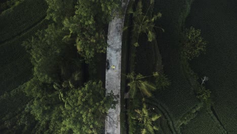 Luftaufnahme-Von-Oben-Nach-Unten-Auf-Einer-Verengten-Straße-Mit-Rollerfahrt-In-Der-Dschungellandschaft-Der-Insel-Bali-In-Indonesien