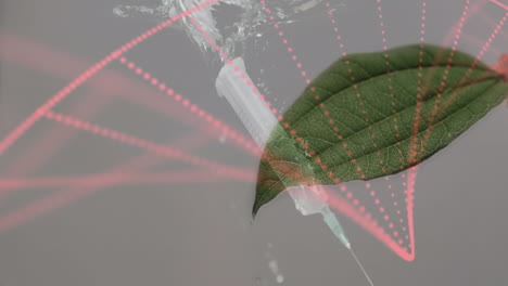 animation of dna strand over leaf