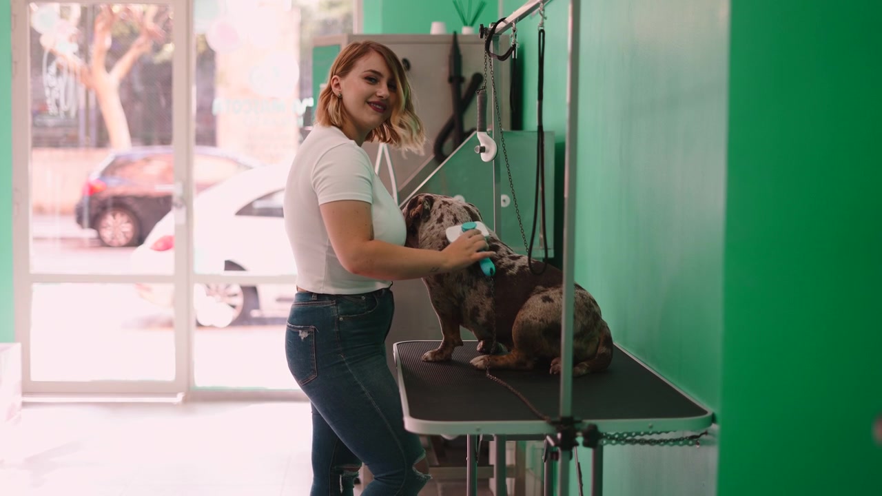 Toelettatore professionista che spazzola un bulldog francese in un centro di toelettatura per animali.