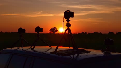 kamera cyfrowa fotografująca dziką przyrodę na łące przy zachodzie słońca