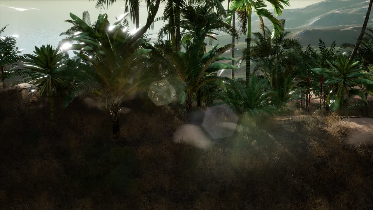 los rayos del atardecer a través de las palmeras