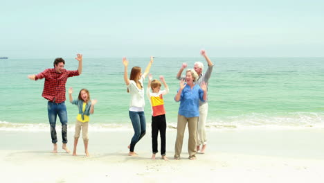 Lächelnde-Familie-Springt-Zusammen