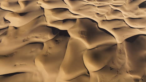 textured sand dune desert of gobi during sunrise in southern mongolia