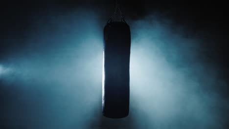 Boxing-speedbag-spotlighted-in-a-gym