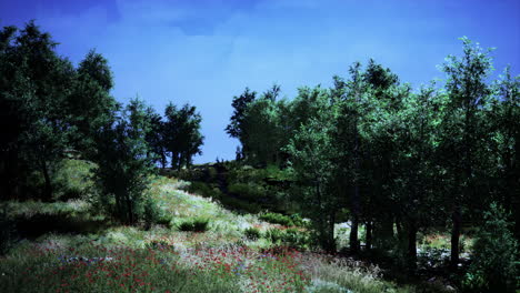 Paisaje-De-Verano-En-Las-Montañas-Y-El-Cielo-Azul-Oscuro