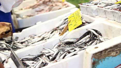 fish sold on the street