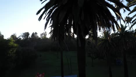 Drone-shot-of-palm-trees-panning-left-during-golden-sunset-hour-with-sun-flare-peeking-and-clear-blue-skies-in-Los-Angeles,-California-park-picnic-area-with-a-small-roof-view-of-a-pink-bounce-house