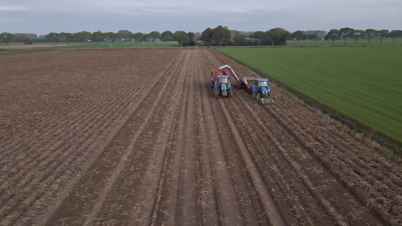 Attrezzatura agricola per la raccolta delle patate