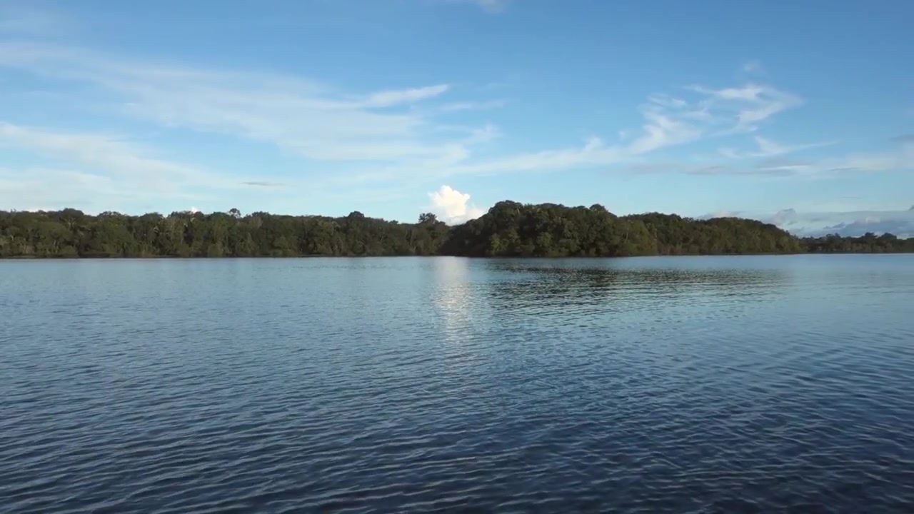 Meraviglioso, tranquillo paesaggio con un grande lago circondato da una foresta tropicale verde e cielo blu