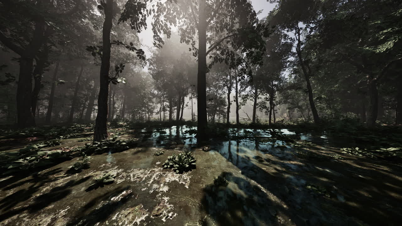 습지에서 가을  ⁇ 은 날