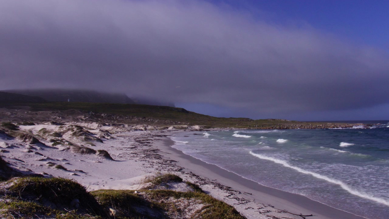 Bølger der slår ind på en afsides sandstrand ved Cape Point Nationalpark, timelapse