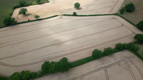 Una-Vista-Aérea-De-Campos-De-Trigo-Listos-Para-La-Cosecha-En-Tierra-En-Worcestershire,-Inglaterra