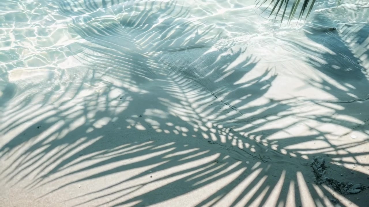 熱帯のビーチの砂と透き通った水に映るヤシの葉の影