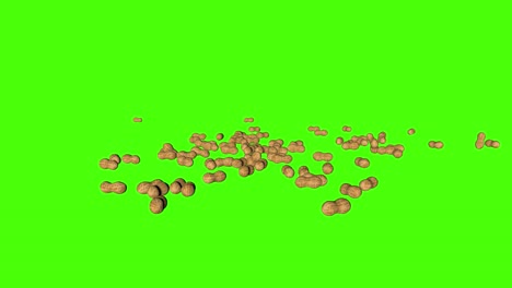 3d peanuts falling animation on green screen chroma key background
