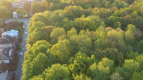 奧克伍德公園, 庫納斯, 立陶宛