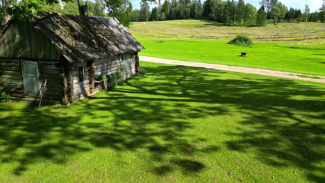 man drives along on sit down lawn mower passing wooden cabin as drone soars above open land covered with tree shadows