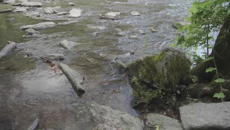 Agua-Que-Fluye-A-Través-De-Grandes-Piedras,-Wissahickon-Creek,-Filadelfia