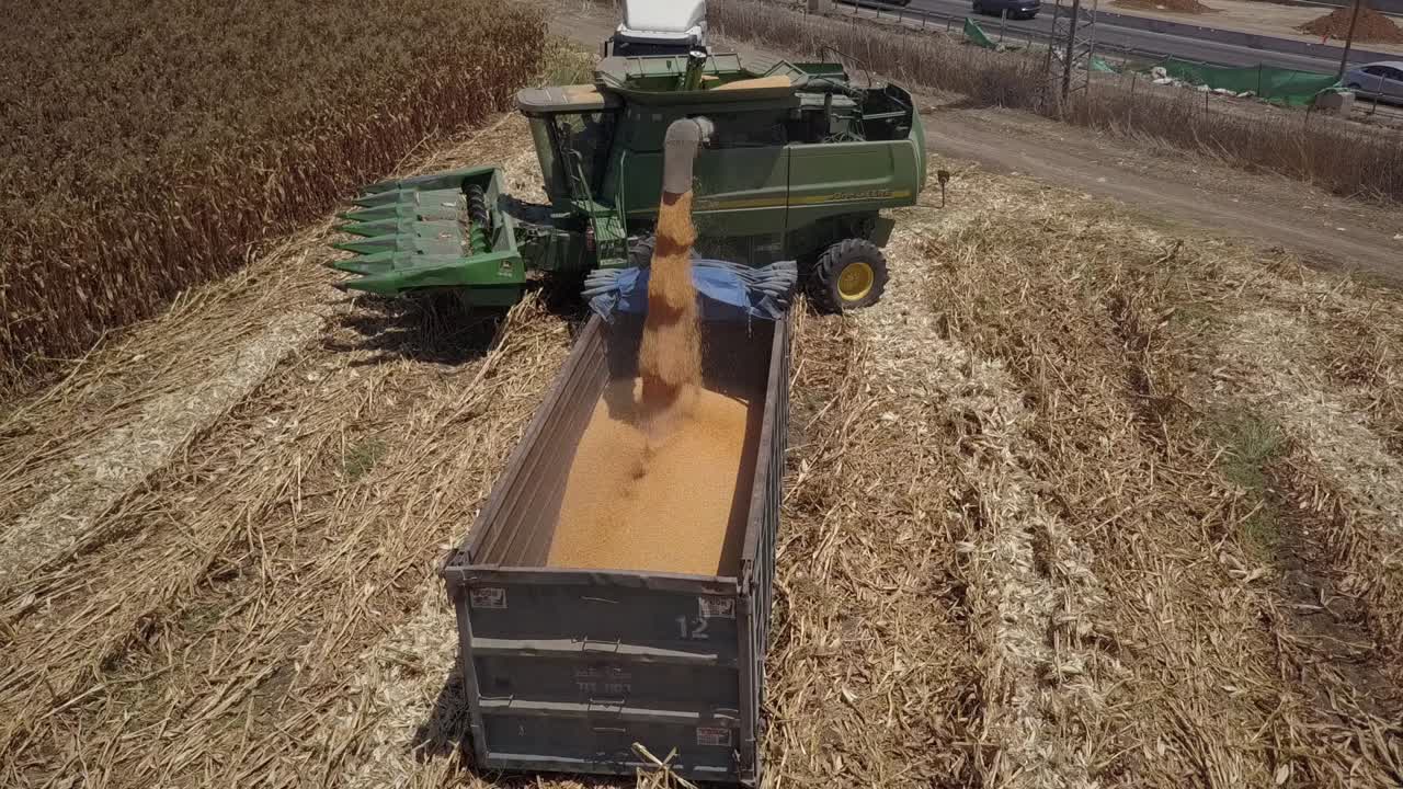 cosechadora combinada cargando el remolque de grano en el campo de maíz