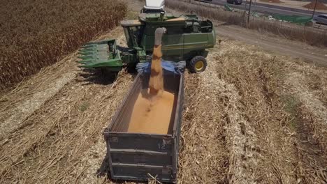 combine harvester loading grain trailer in cornfield