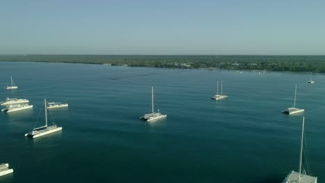 group of boats moored in bayahibe bay in dominican republic. aerial circling