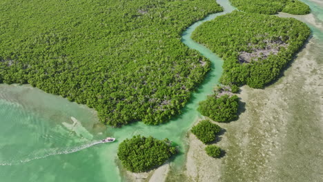 Key-West,-Florida,-Vista-Aérea-V27-Cinematográfica-A-Vista-De-Pájaro,-Sobrevuelo-Con-Drones-Y-Alrededor-De-Los-Cayos-De-Barro,-Capturando-Un-Barco-Navegando-A-Través-Del-Canal-Hacia-Los-Bosques-De-Manglares,-Filmado-Con-Cine-Mavic-3,-Febrero-De-2023.