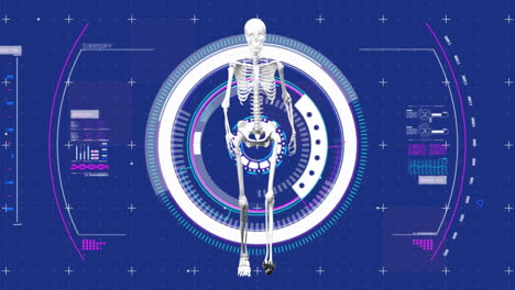 animation of medical data processing and scope scanning with human skeleton on blue background